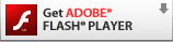 Get ADOBE FLASH PLAYER